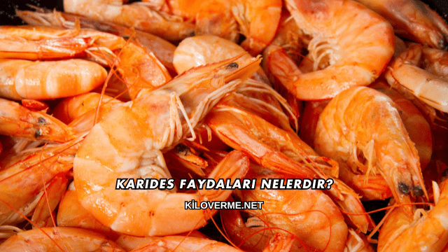 Karides Faydaları Nelerdir?