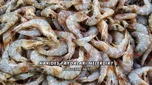 Karides Faydaları Nelerdir?