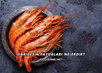 Karidesin Faydaları Nelerdir?