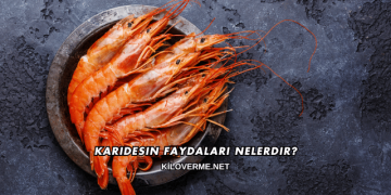 Karidesin Faydaları Nelerdir?