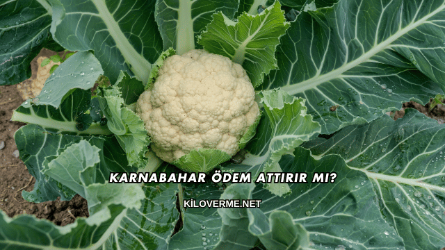 Karnabahar Ödem Attırır mı?