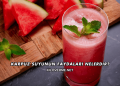 Karpuz Suyunun Faydaları Nelerdir?