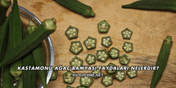 Kastamonu Ağaç Bamyası Faydaları Nelerdir?