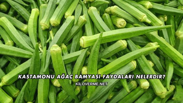 Kastamonu Ağaç Bamyası Faydaları Nelerdir?
