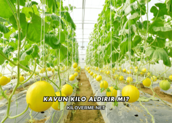 Kavun Kilo Aldırır mı