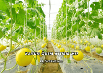 Kavun Ödem Attırır mı?