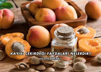 Kayısı Çekirdeği Faydaları Nelerdir?