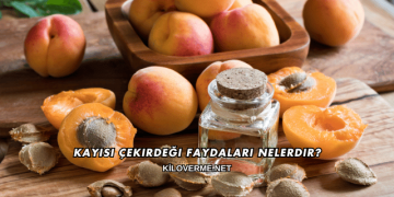 Kayısı Çekirdeği Faydaları Nelerdir?