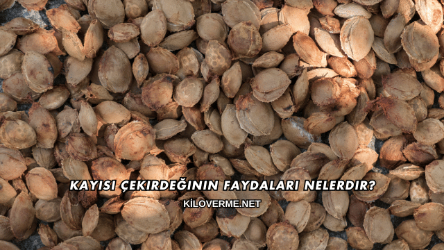 Kayısı Çekirdeğinin Faydaları Nelerdir?