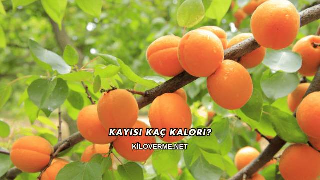 Kayısı Kaç Kalori?