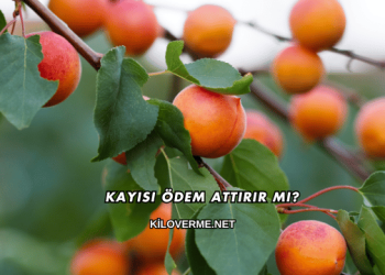 Kayısı Ödem Attırır mı?