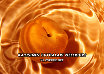 Kayısının Faydaları Nelerdir?