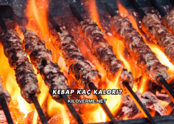 Kebap Kaç Kalori?