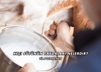 Keçi Sütünün Faydaları Nelerdir?