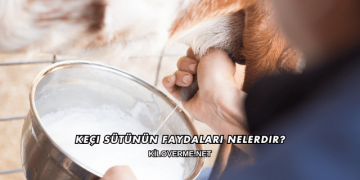 Keçi Sütünün Faydaları Nelerdir?
