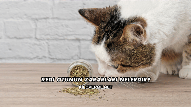 Kedi Otunun Zararları Nelerdir?