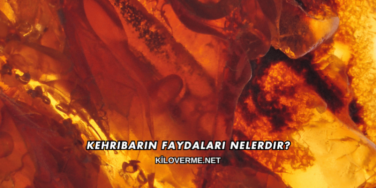 Kehribarın Faydaları Nelerdir?