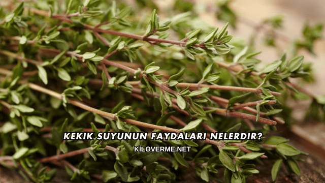 Kekik Suyunun Faydaları Nelerdir?