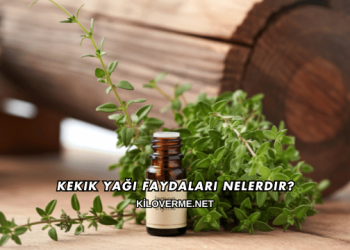 Kekik Yağı Faydaları Nelerdir?