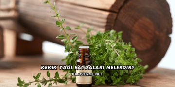 Kekik Yağı Faydaları Nelerdir?
