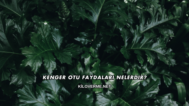 Kenger Otu Faydaları Nelerdir?