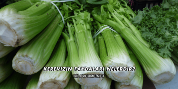 Kerevizin Faydaları Nelerdir?