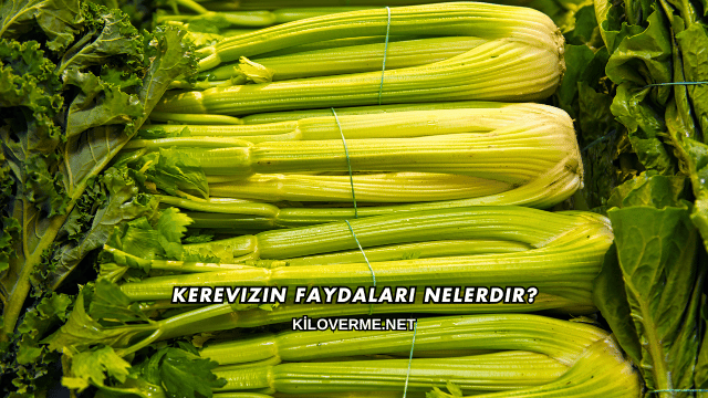Kerevizin Faydaları Nelerdir?