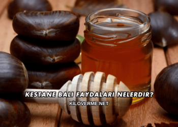 Kestane Balı Faydaları Nelerdir?