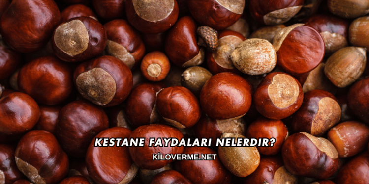 Kestane Faydaları Nelerdir?