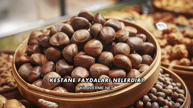 Kestane Faydaları Nelerdir?