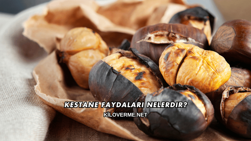 Kestane Faydaları Nelerdir?