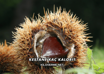 Kestane Kaç Kalori