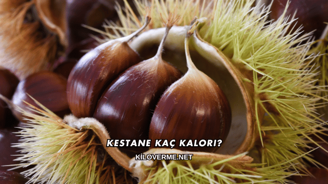 Kestane Kaç Kalori