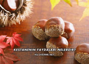 Kestanenin Faydaları Nelerdir?