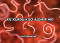 Kıl Kurdu Kilo Aldırır mı?