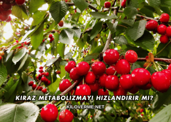 Kiraz Metabolizmayı Hızlandırır mı?