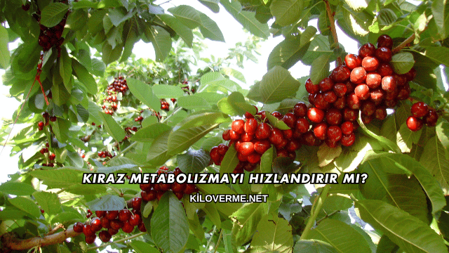 Kiraz Metabolizmayı Hızlandırır mı?