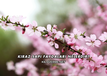 Kiraz Sapı Faydaları Nelerdir?