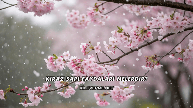 Kiraz Sapı Faydaları Nelerdir?