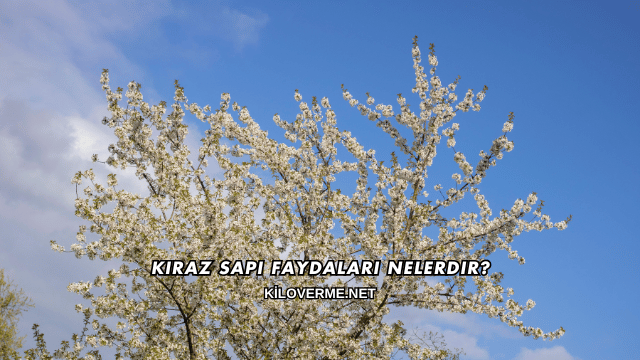 Kiraz Sapı Faydaları Nelerdir?