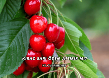 Kiraz Sapı Ödem Attırır mı?