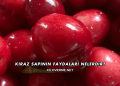 Kiraz Sapının Faydaları Nelerdir?