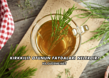 Kırkkilit Otunun Faydaları Nelerdir?