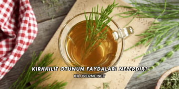 Kırkkilit Otunun Faydaları Nelerdir?