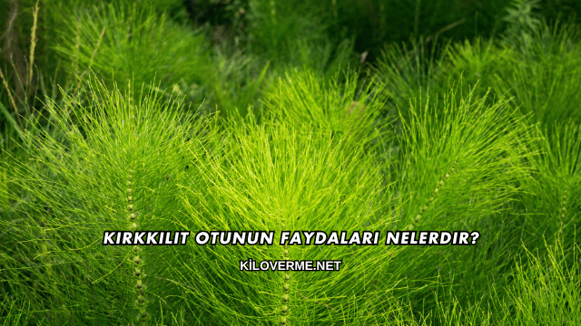 Kırkkilit Otunun Faydaları Nelerdir?