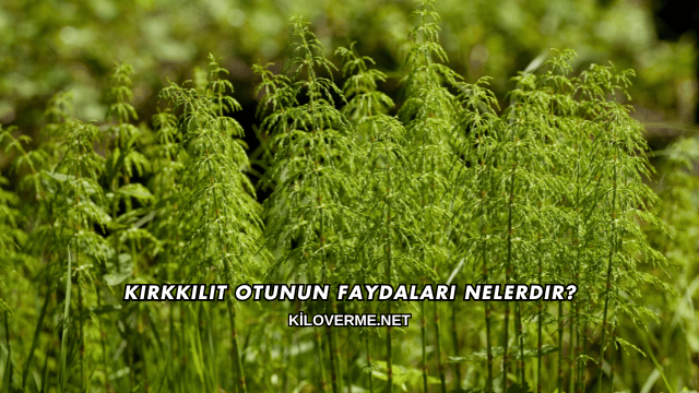 Kırkkilit Otunun Faydaları Nelerdir?