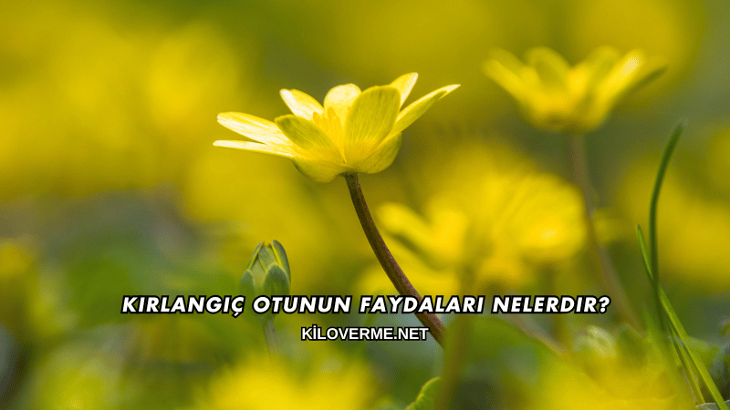 Kırlangıç Otunun Faydaları Nelerdir?