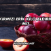 Kırmızı Erik Kilo Aldırır mı?