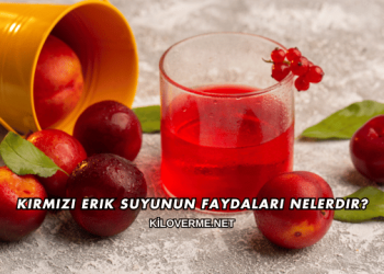 Kırmızı Erik Suyunun Faydaları Nelerdir?