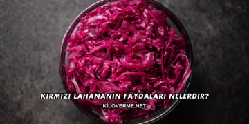 Kırmızı Lahananın Faydaları Nelerdir?